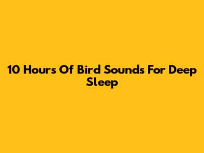 10 Hours Of Bird Sounds For Deep Sleep