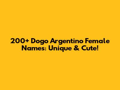 200+ Dogo Argentino Female Names: Unique & Cute!