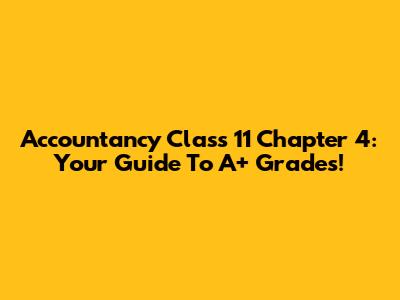 Accountancy Class 11 Chapter 4: Your Guide To A+ Grades!