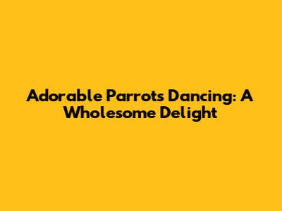 Adorable Parrots Dancing: A Wholesome Delight