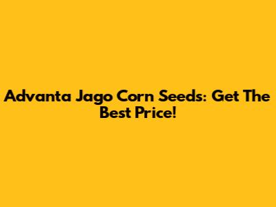 Advanta Jago Corn Seeds: Get The Best Price!