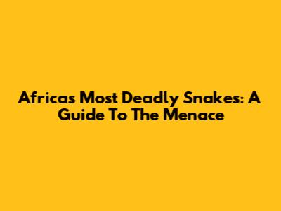 Africa's Most Deadly Snakes: A Guide To The Menace