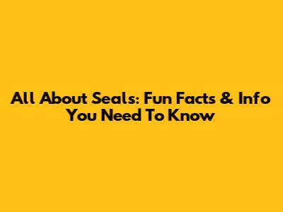All About Seals: Fun Facts & Info You Need To Know