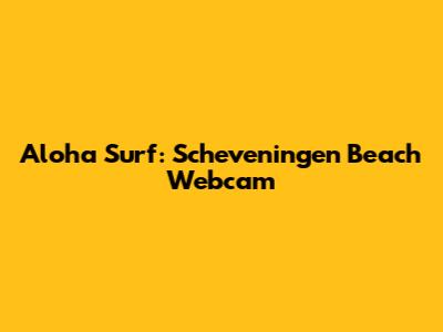 Aloha Surf: Scheveningen Beach Webcam