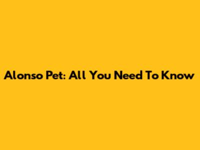 Alonso Pet: All You Need To Know