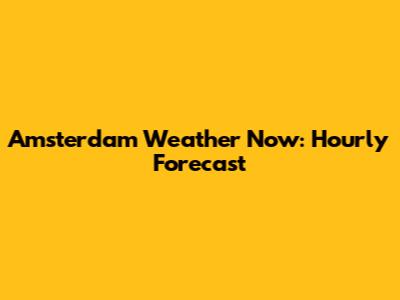 Amsterdam Weather Now: Hourly Forecast