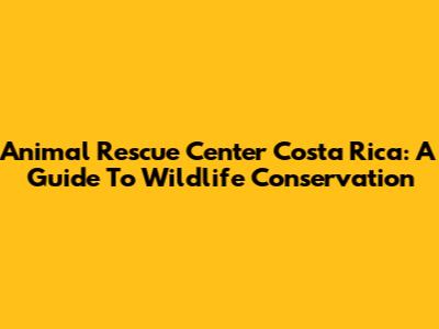 Animal Rescue Center Costa Rica: A Guide To Wildlife Conservation