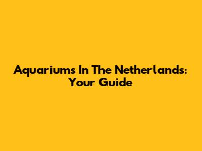 Aquariums In The Netherlands: Your Guide