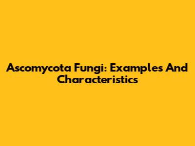 Ascomycota Fungi: Examples And Characteristics
