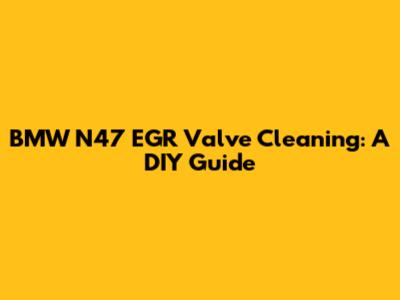 BMW N47 EGR Valve Cleaning: A DIY Guide