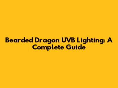 Bearded Dragon UVB Lighting: A Complete Guide