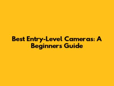 Best Entry-Level Cameras: A Beginner's Guide