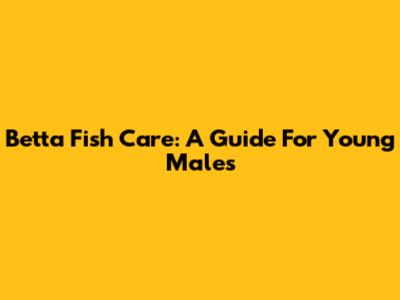 Betta Fish Care: A Guide For Young Males