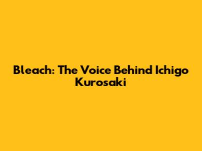 Bleach: The Voice Behind Ichigo Kurosaki