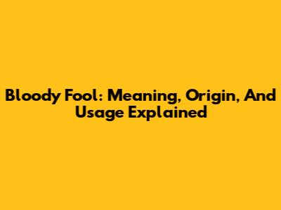Bloody Fool: Meaning, Origin, And Usage Explained