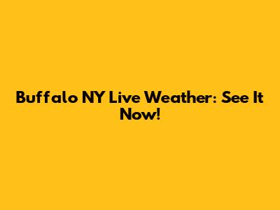Buffalo NY Live Weather: See It Now!