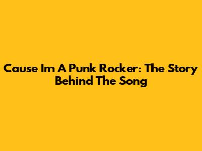 Cause I'm A Punk Rocker: The Story Behind The Song