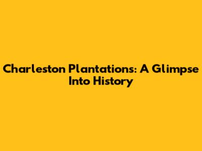 Charleston Plantations: A Glimpse Into History