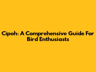 Cipoh: A Comprehensive Guide For Bird Enthusiasts