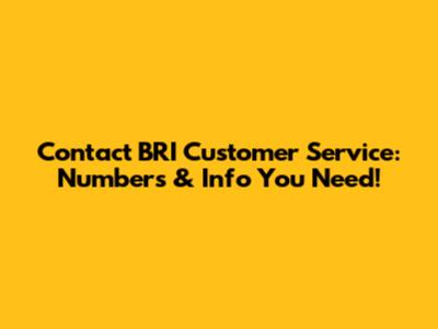 Contact BRI Customer Service: Numbers & Info You Need!