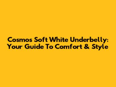 Cosmo's Soft White Underbelly: Your Guide To Comfort & Style