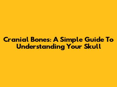 Cranial Bones: A Simple Guide To Understanding Your Skull