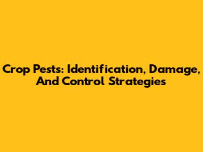 Crop Pests: Identification, Damage, And Control Strategies