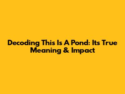 Decoding 'This Is A Pond': Its True Meaning & Impact