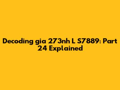 Decoding 'gia 273nh L S7889': Part 24 Explained