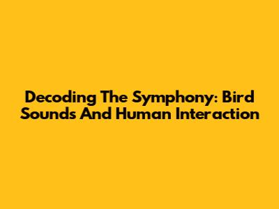 Decoding The Symphony: Bird Sounds And Human Interaction