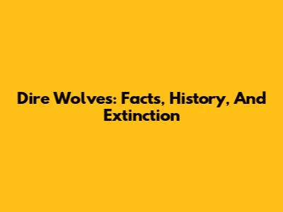 Dire Wolves: Facts, History, And Extinction