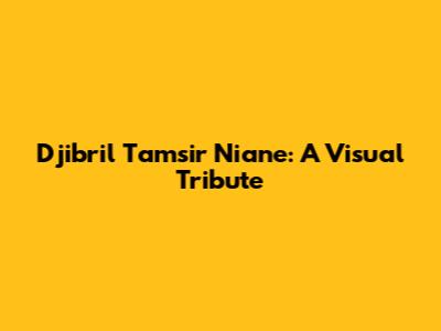 Djibril Tamsir Niane: A Visual Tribute
