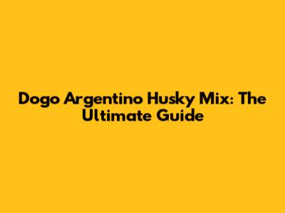 Dogo Argentino Husky Mix: The Ultimate Guide