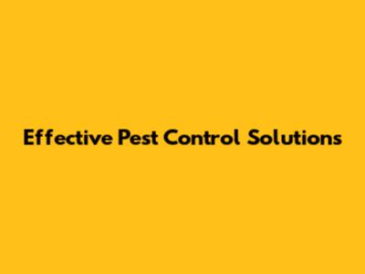 Effective Pest Control Solutions