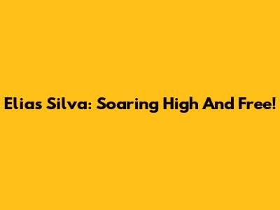 Elias Silva: Soaring High And Free!