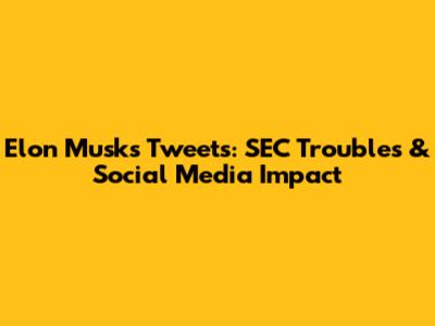 Elon Musk's Tweets: SEC Troubles & Social Media Impact