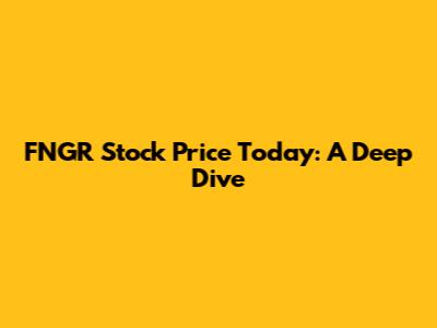 FNGR Stock Price Today: A Deep Dive