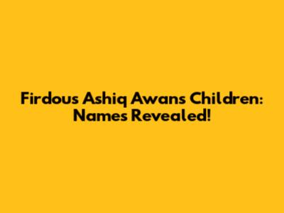 Firdous Ashiq Awan's Children: Names Revealed!