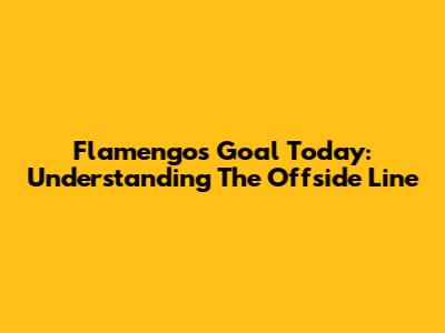 Flamengo's Goal Today: Understanding The Offside Line