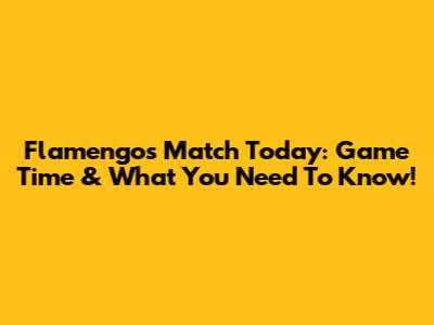 Flamengo's Match Today: Game Time & What You Need To Know!