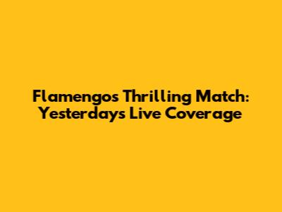 Flamengo's Thrilling Match: Yesterday's Live Coverage