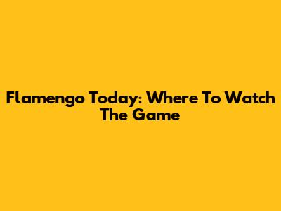 Flamengo Today: Where To Watch The Game