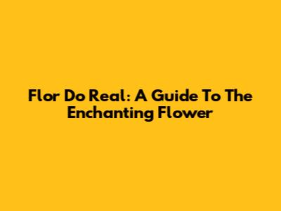 Flor Do Real: A Guide To The Enchanting Flower