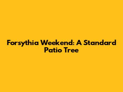 Forsythia 'Weekend': A Standard Patio Tree