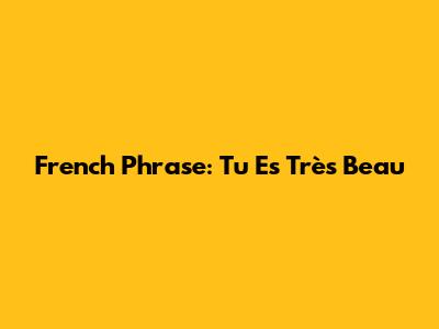 French Phrase: Tu Es Très Beau