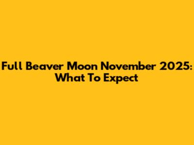 Full Beaver Moon November 2025: What To Expect
