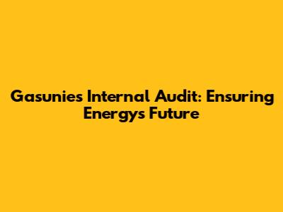 Gasunie's Internal Audit: Ensuring Energy's Future