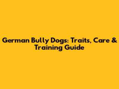 German Bully Dogs: Traits, Care & Training Guide