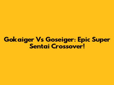 Gokaiger Vs Goseiger: Epic Super Sentai Crossover!
