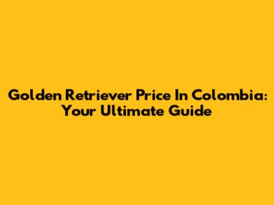 Golden Retriever Price In Colombia: Your Ultimate Guide